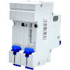 Mini Disjuntor Bipolar Chint 16A NXB-63C 2P C16 3kA