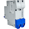 Mini Disjuntor Bipolar Chint 2A NB1-63 2P C2 6kA DB