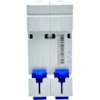 Mini Disjuntor Bipolar Chint 2A NXB-63C 2P C2 3kA