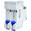 Mini Disjuntor Bipolar Chint 63A NXB-63 2P C63 6kA