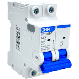 Mini Disjuntor Bipolar Chint 63A NXB-63C 2P C63 3kA
