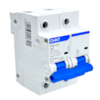 Mini Disjuntor Bipolar Chint 70A NXB-125 2P C70 10KA