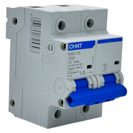Mini Disjuntor Bipolar Chint NXB-125 2P Curva C 100A 7,5kA