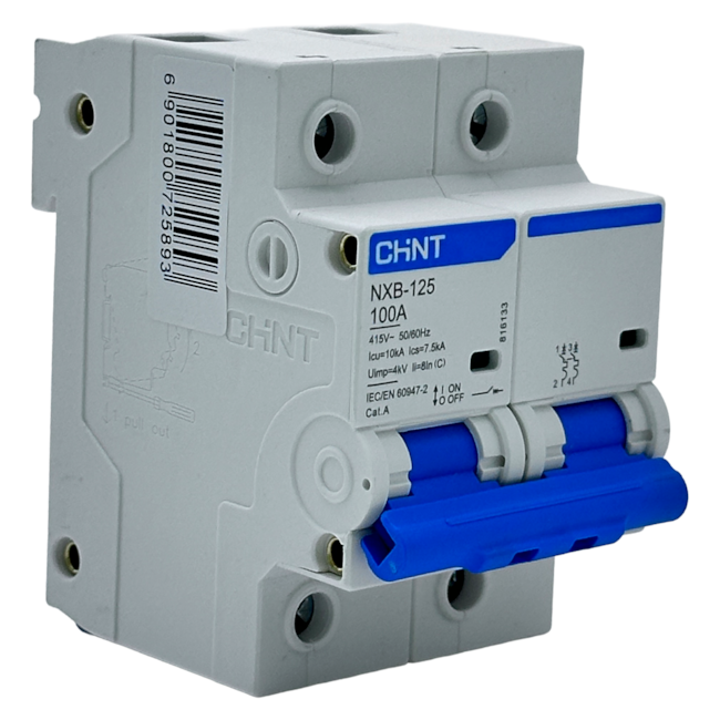 Mini Disjuntor Bipolar Chint NXB-125 2P Curva C 100A 7,5kA