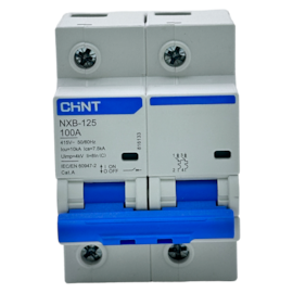 Mini Disjuntor Bipolar Chint NXB-125 2P Curva C 100A 7,5kA