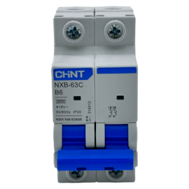 Mini Disjuntor Bipolar Chint NXB-63C 2P B6 3kA BR