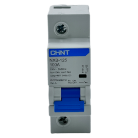 Mini Disjuntor Monopolar Chint NXB-125 1P 100A 6kA